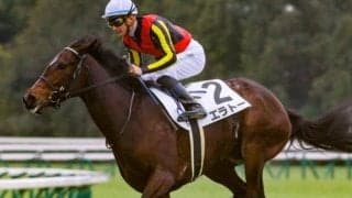 父は日本生まれアイルランド育ちの海外G1・2勝馬 エラトーが紫苑SでJRA初重賞Vを届けるか