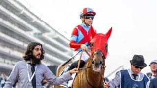 韓国国際競走にJRA所属馬が出走