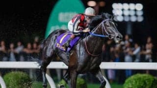 【川崎・戸塚記念結果】サントノーレが6馬身差の圧勝！重賞3勝目を挙げる