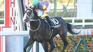 【セントウルS予想】キャリアが豊富過ぎる馬は過信禁物!? AIが推奨する興味深い一頭とは