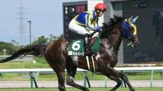 【京成杯AH展望】5歳馬の前走GIII組が狙い目