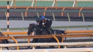 フレミングフープなど、ローズS1週前追い切り速報/栗東トレセンニュース