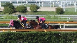 ラムジェット、JDC追い切り速報/栗東トレセンニュース