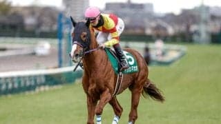 【セントウルS出走馬・騎手確定】ピューロマジック＆横山和生騎手、トウシンマカオ＆菅原明良騎手など18頭