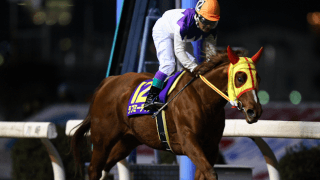 笠松競馬場内にラブミーチャンの献花台・記帳台を設置 開催後半には追悼競走も実施