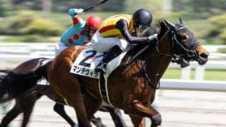 福永祐一調教師が騎手時代GI制覇のワールドプレミア半妹 惜敗続きにピリオド打つか