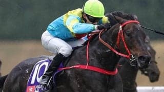 【スプリンターズS】香港馬2頭の出走決定 来日スケジュールが発表