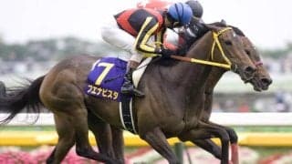 9月6日は「黒の日」 “黒鹿毛”のJRA獲得賞金ランキングTOP5は？