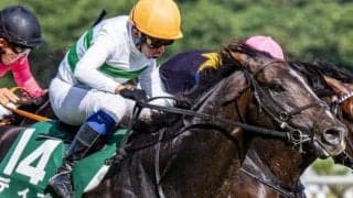 京成杯AHは年齢別成績に要注目！ 大苦戦しているのは…