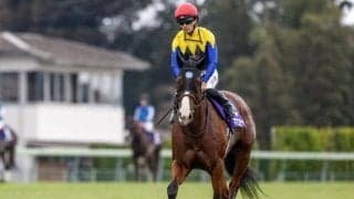 【セントウルS枠順確定】ママコチャは8枠18番、ピューロマジックは7枠13番