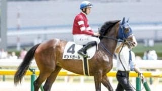 【紫苑S枠順確定】ボンドガールは7枠11番、エラトーは5枠7番