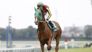 “ハンデキャッパー冥利”に尽きる名勝負 15年京成杯AHは勝ち馬から7頭が0.1秒差