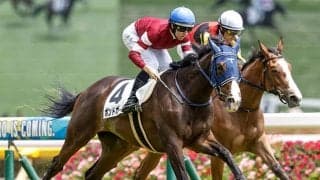 【紫苑S予想】3歳牝馬にとって斤量増は想像以上の負担となる!? 重賞実績十分も信頼しづらい人気馬とは