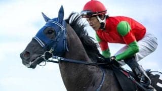 古豪マイネルファンロンが競走馬登録を抹消 今後は新潟競馬場で乗馬に