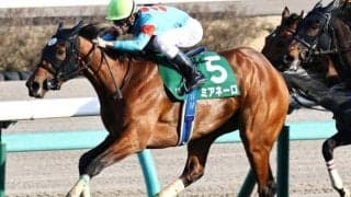 中山芝は開幕週らしく内有利 絶好1番枠からミアネーロのイン差しだ