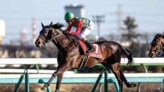 【セントライト記念想定馬・騎手】コスモキュランダ、ヤマニンアドホックなど14頭