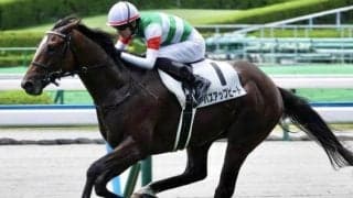 エピファネイア産駒の大器 川田騎手とのタッグで確勝期す