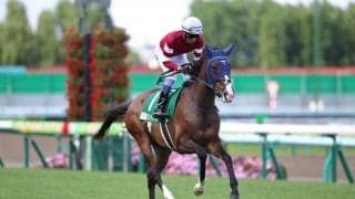 武豊騎手 今週の騎乗馬…紫苑Sはボンドガール