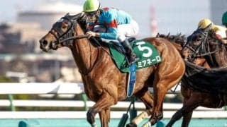 【紫苑S予想】秋華賞を占う意味でも見逃せぬ一戦