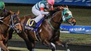 川崎記念覇者の半弟が中山でデビュー コリアカップ出走の兄に勢い届ける勝利なるか