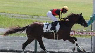 【中京4R新馬戦結果】トリポリタニアが快勝 ルヴァンスレーヴ産駒のJRA初勝利