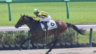 【中山3R】ナダル産駒 パースウェイドが3馬身半差完勝
