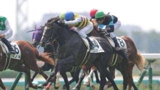 【中山2R】リオンディーズ産駒 ニシノルアノーヴァが初勝利