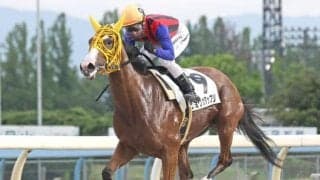 金沢のショウガタップリが腸捻転に伴う疝痛のため急死 デビュー11連勝など活躍