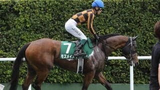 セントウルＳは馬場状態と展開がカギ 目が行くのは脚質転換に成功した牝馬から漂う勝負気配