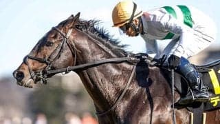 【京成杯AH予想】ハンデの恩恵を受けている馬が有利!? 斤量57キロ以上の馬は格上のレースでの実績が必要不可欠