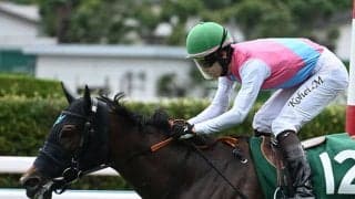 【セントウルS予想】急坂が待ち受ける中京ではスピードがアダとなる!? 前走の初角での位置取りには要注意