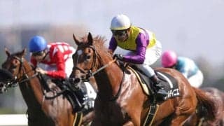 【アスター賞】アドマイヤマーズ産駒 ジャルディニエが完勝