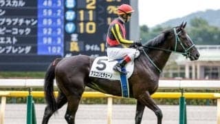 【京成杯AH前日オッズ】アスコリピチェーノが1.7倍で1番人気