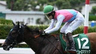 【セントウルS前日オッズ】ピューロマジックが4.6倍で1番人気