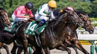 中山芝は超高速馬場 内枠＆持ち時計があるディオが軸だ