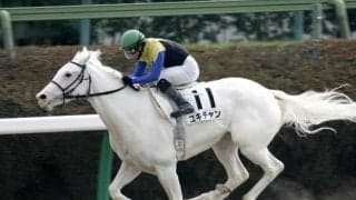 白毛一族出身で母はユキチャン フォンデネージュがデビューV狙う