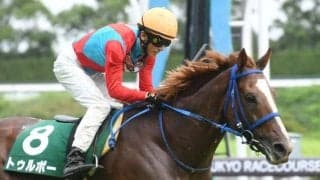 障害重賞2勝のトゥルボーが登録抹消 今後は乗馬に
