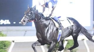【高知競馬】林謙佑騎手 地方競馬通算500勝達成