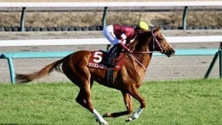 愛チャンピオンステークス、テレビ中継など