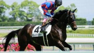 【セントウルS予想】今年は中京1200mが舞台 スプリンターズSの直行切符をつかむのは