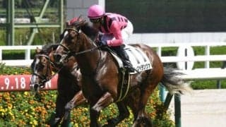 【京成杯AH予想】秋競馬の開幕告げる名物ハンデ重賞 サマーマイル王者の行方は