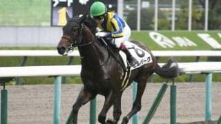 【京成杯AH予想】人気薄が絡みやすいレースの実像とは？ 過去データから探るGIIIハンデ戦