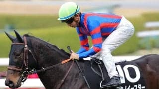 セントウルSは内-中枠の先行馬重視 ヨシノイースター＆ジョウショーホープが狙い目だ