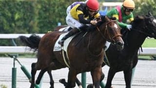 【中京4R新馬戦結果】タワーオブロンドン産駒パンジャタワーが断然人気に応えてV