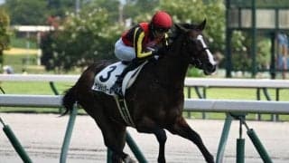 【中京5R新馬戦結果】ブリックスアンドモルタル産駒ゲルチュタールが抜け出し快勝