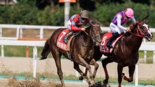 【コリアスプリント】リメイクが連覇…日本勢ワンツー