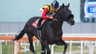 【コリアC結果】クラウンプライドが逃げ切り連覇達成！ ウィルソンテソーロは2着