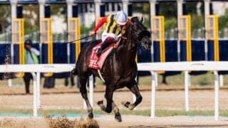 【コリアカップ】クラウンプライドが5馬身差圧勝で連覇…日本勢ワンツー