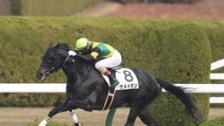 【阪神JS】ザメイダン、テイエムタツマキらが登録