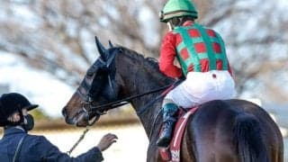 【セントライト記念】コスモキュランダ、ヤマニンアドホックらが登録